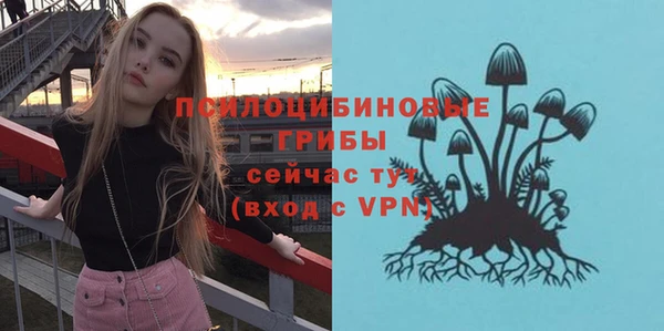 СК Вязники