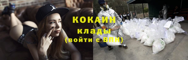 ГАЛЛЮЦИНОГЕННЫЕ ГРИБЫ Вязьма