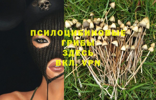герыч Вяземский