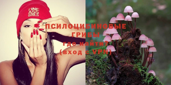СК Вязники