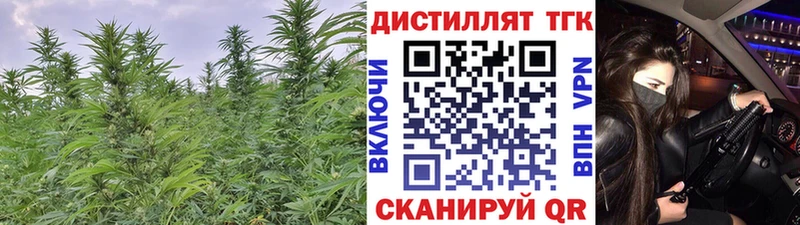 Дистиллят ТГК жижа  Купить  Коряжма 